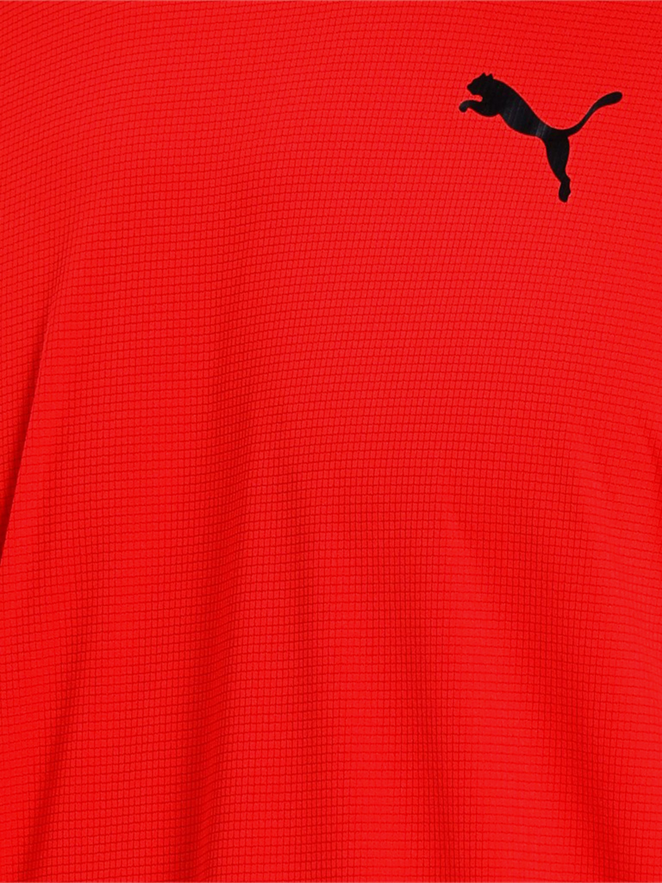 Футболка спортивная PUMA TRAIN GRAPHIC SS модель 52011623 Фото