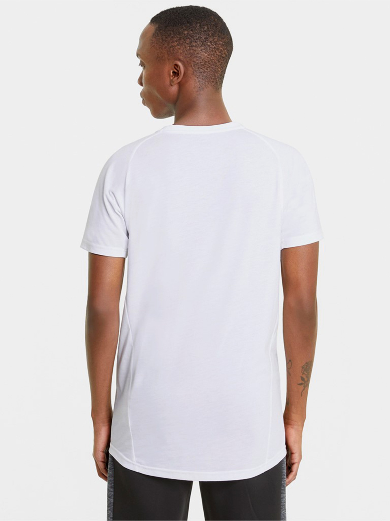 Футболки и поло PUMA EVOSTRIPE модель 58580602 Фото