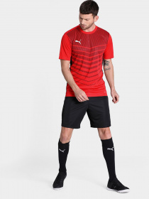 Футболки и поло PUMA FTBLPLAY GRAPHIC модель 65681201 Фото