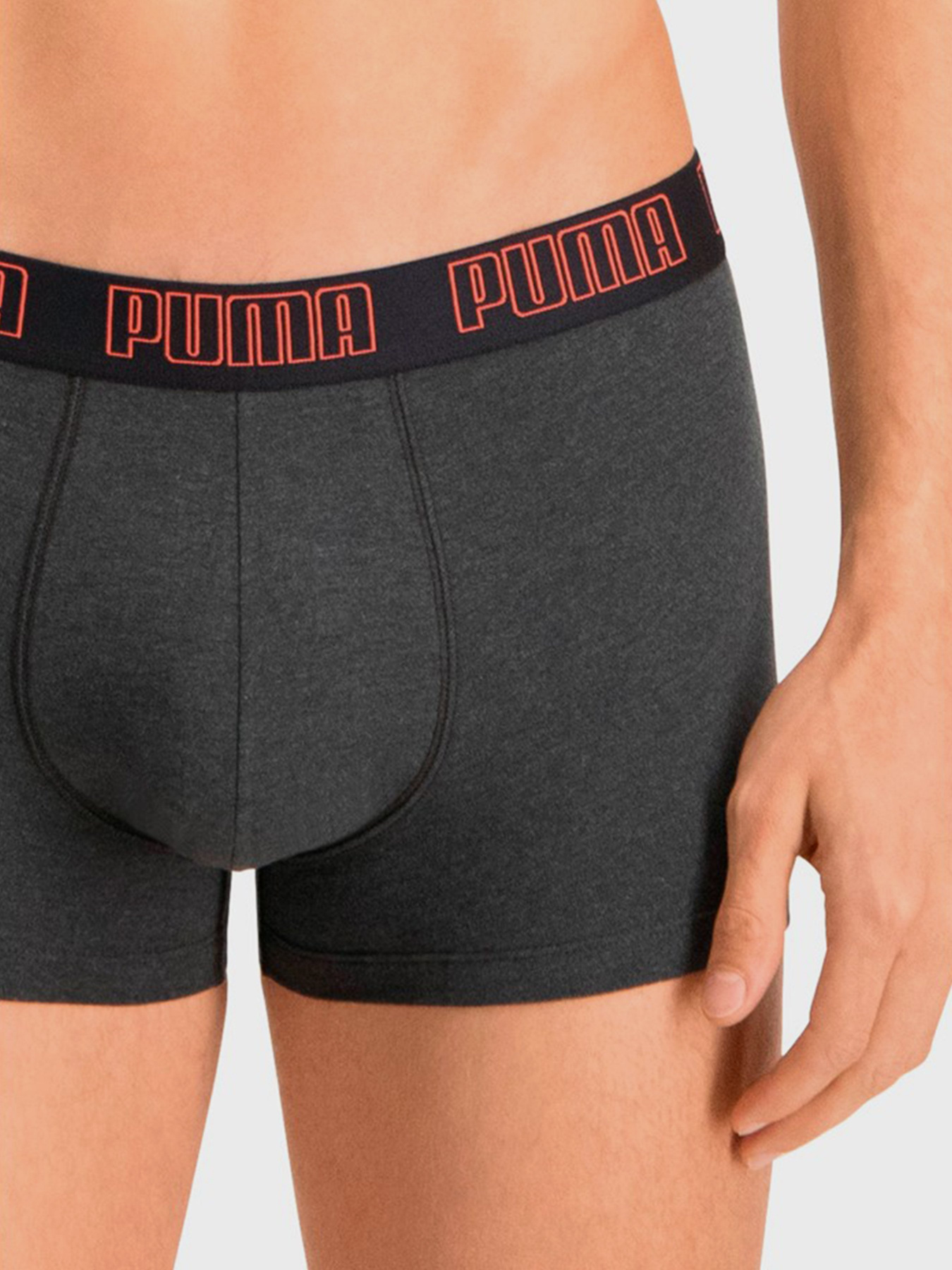 Набор трусов PUMA Basic Trunks модель 93501511 Фото