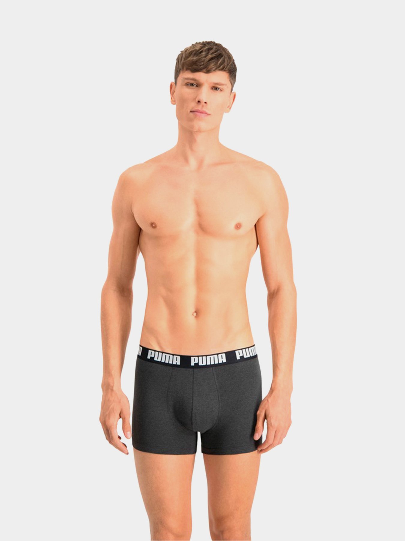 Набор трусов PUMA Gradient Stripe Boxer модель 93503504 Набор трусов PUMA Gradient Stripe Boxer модель 93503504 Фото