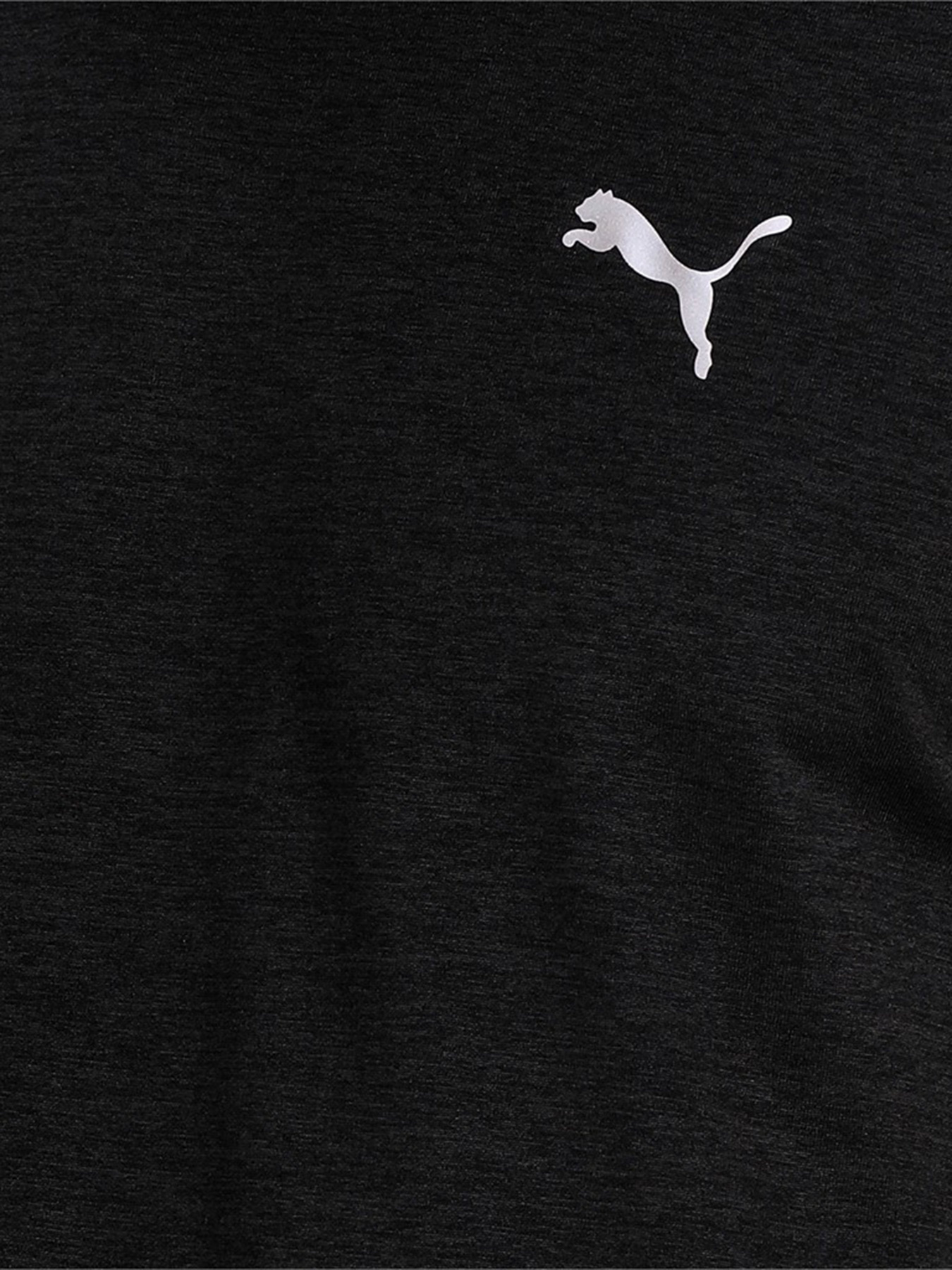 Футболки и поло PUMA FAVOURITE модель 52020901 Фото