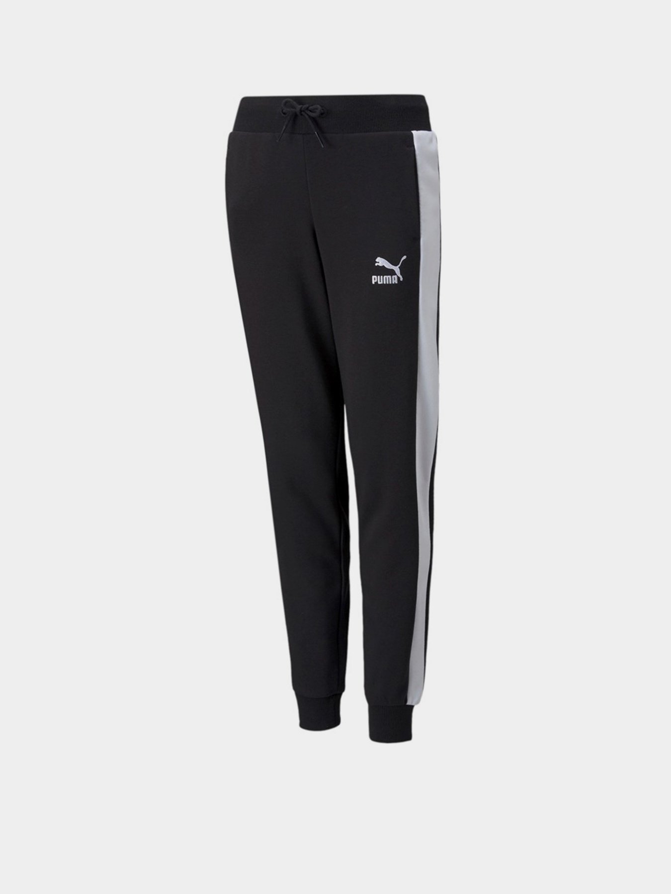 Штаны спортивные PUMA Classics T7 Track Pants TR cl G модель 53251301 Фото