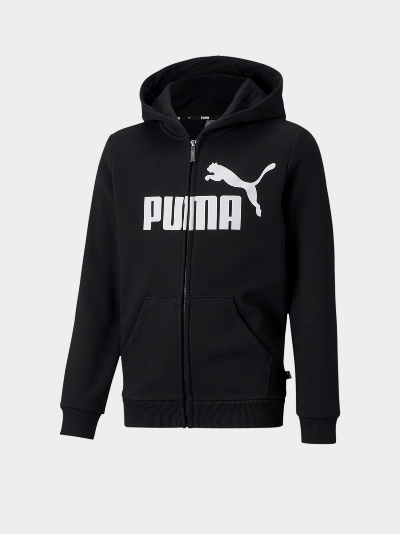 Спортивная кофта PUMA ESS Big Logo FZ Hoodie FL B модель 58696701 Фото
