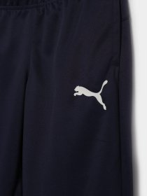 Штаны спортивные PUMA ACTIVE Tricot Pants cl модель 58698406 Фото