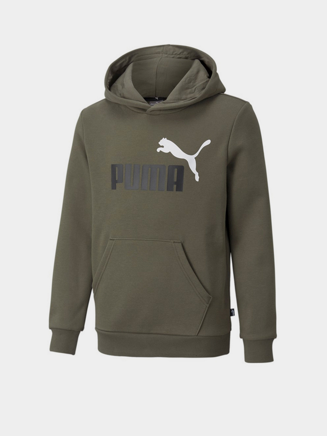 Худи PUMA ESS + 2 Col Big Logo Hoodie FL B модель 58698744 Фото