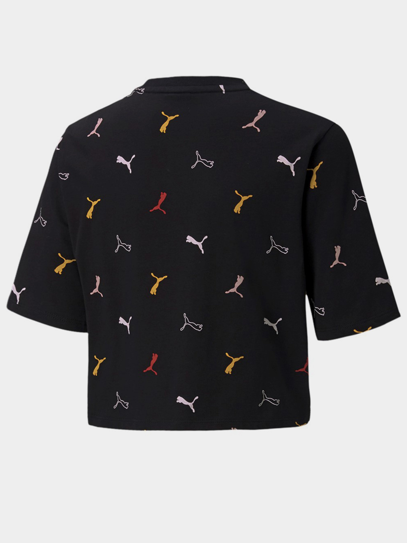 Футболки и поло PUMA CLASSICS GRAPHICS модель 58928801 Фото