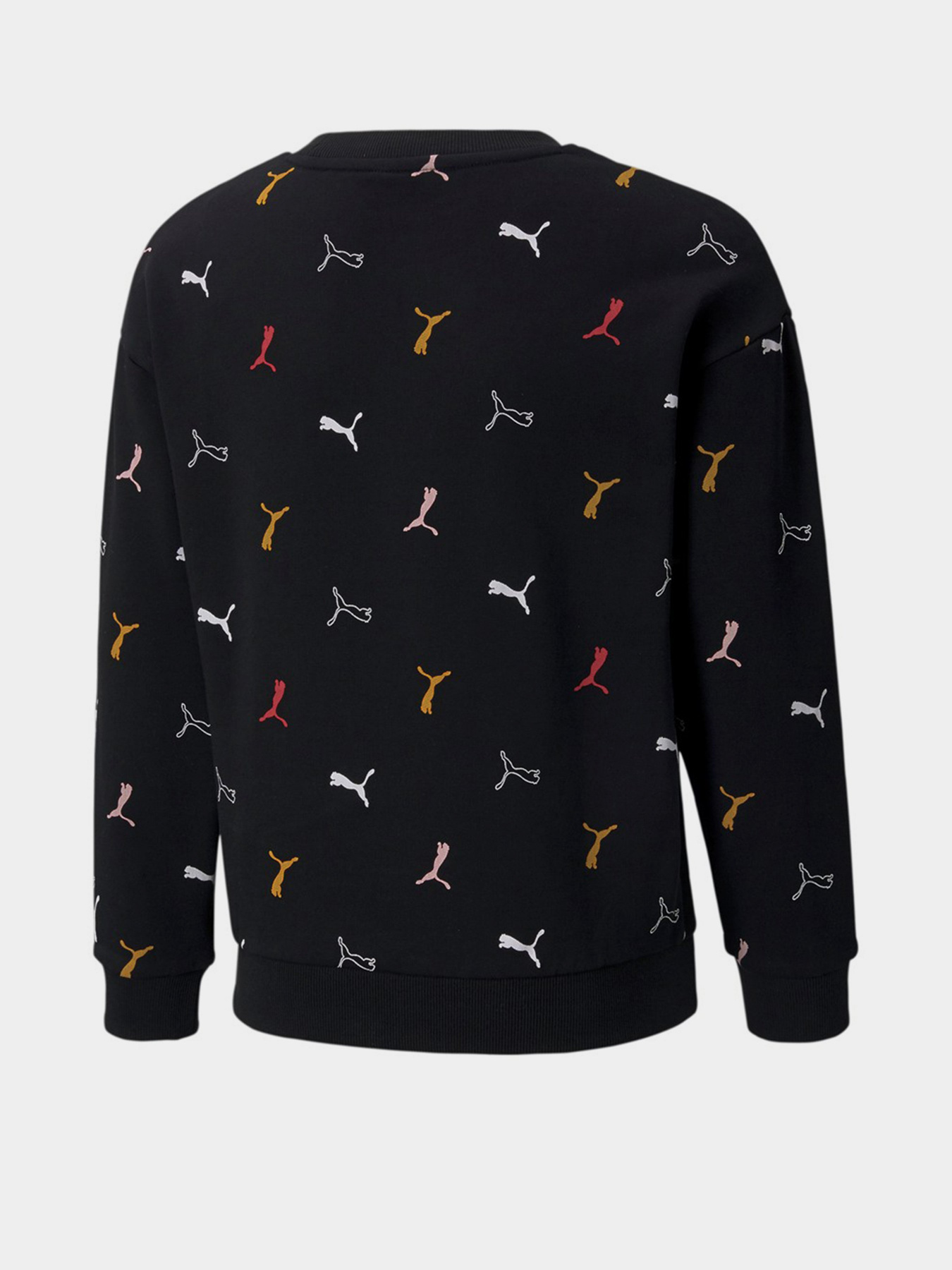 Свитшот PUMA Classics Graphics Crew Neck модель 58928901 Фото
