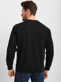 Світшот PUMA RAD/CAL CREW NECK модель 58939801 Фото