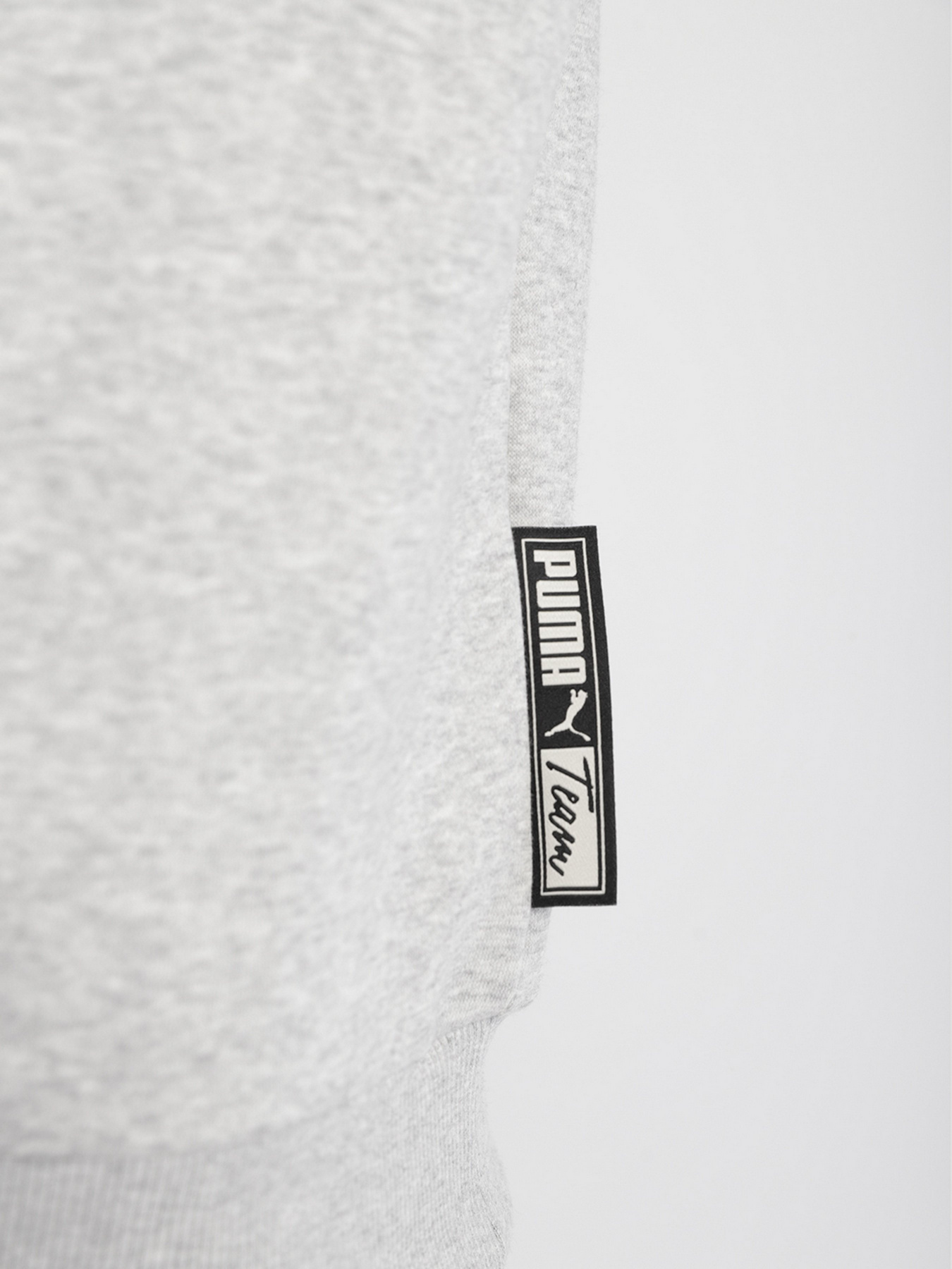 Свитшот PUMA Team модель 53431404 Свитшот PUMA Team модель 53431404 Фото