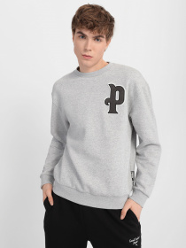 Свитшот PUMA Team модель 53431404 Свитшот PUMA Team модель 53431404 Фото