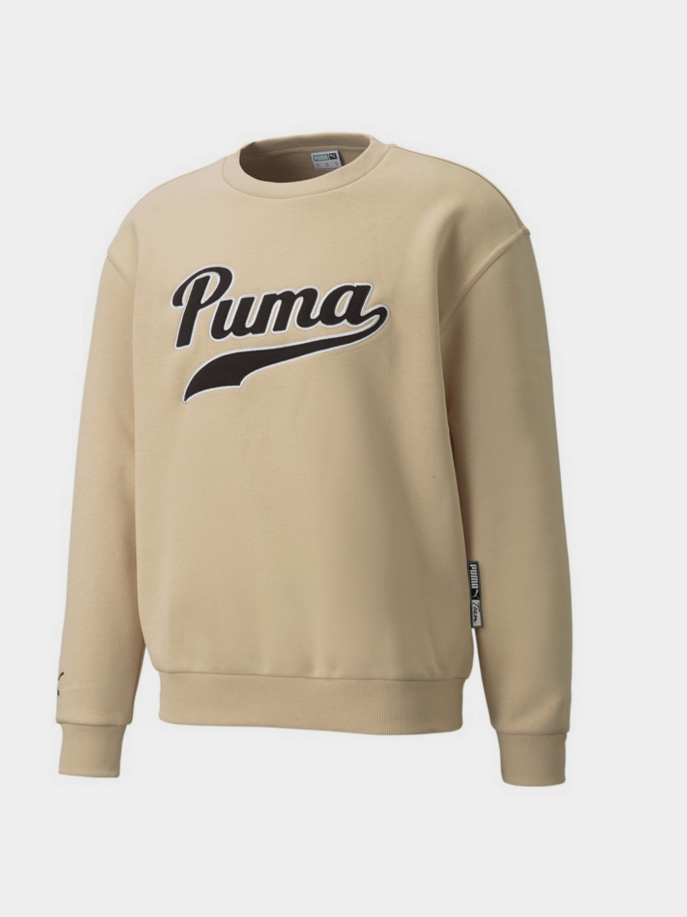 Свитшот PUMA Team модель 53431420 Фото