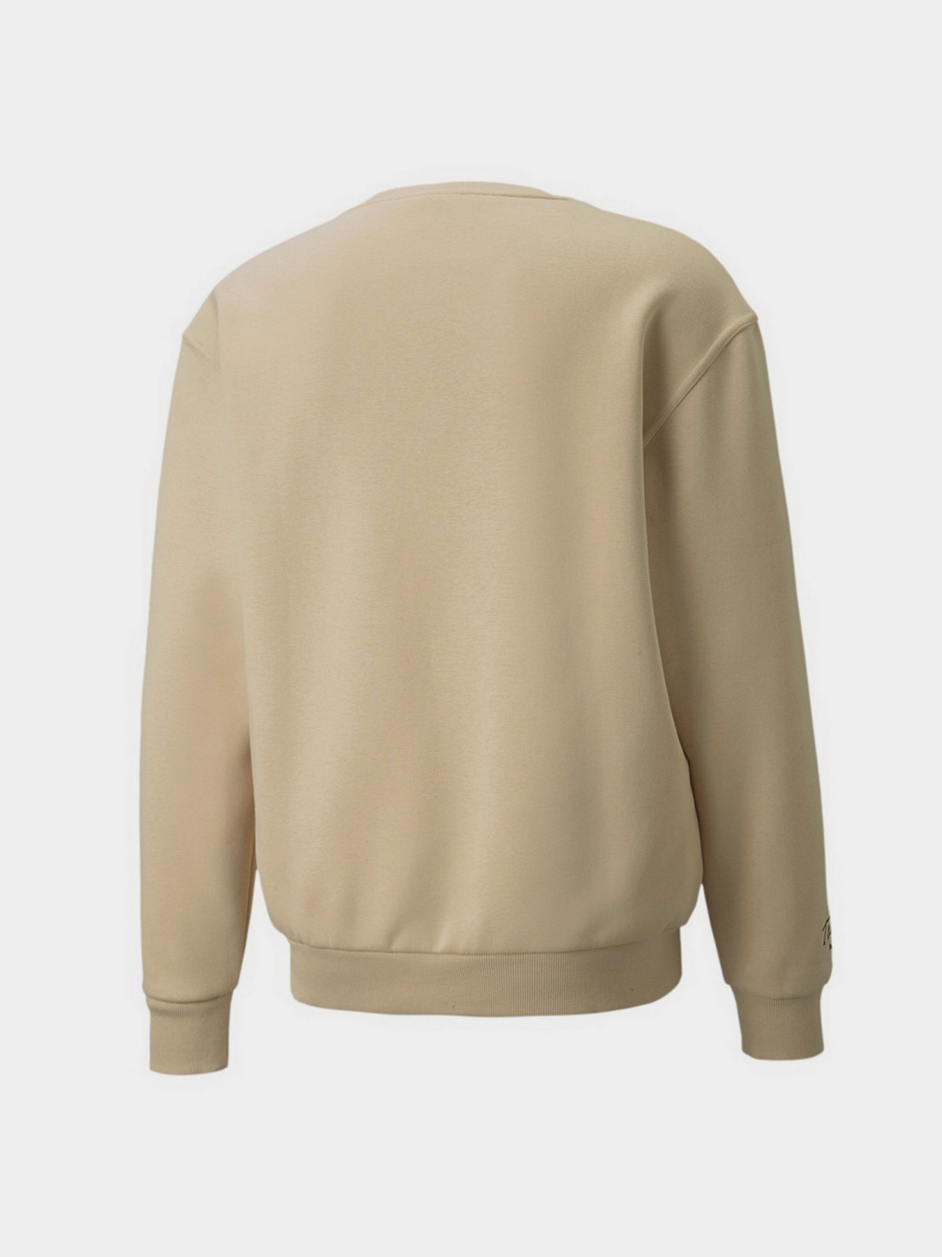 Свитшот PUMA Team модель 53431420 Фото