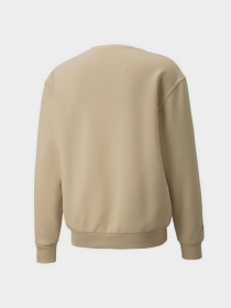 Свитшот PUMA Team модель 53431420 Свитшот PUMA Team модель 53431420 Фото