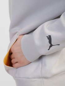 Худи PUMA Protec.T модель 53431909 Фото