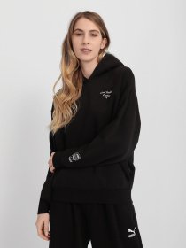 Худи PUMA WELLNESS CLUB модель 53432001 Фото