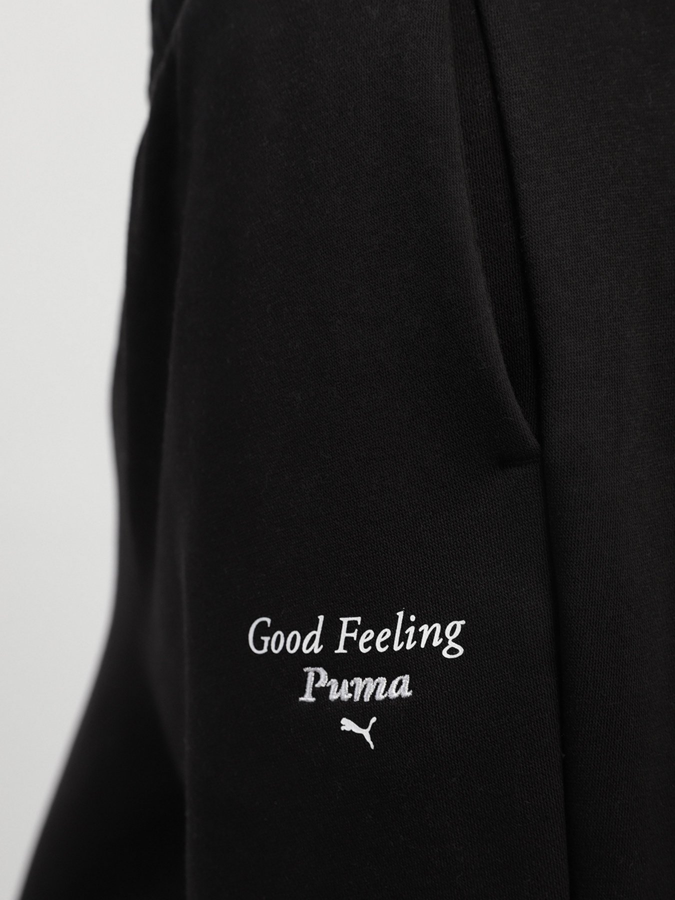 Штаны спортивные PUMA WELLNESS CLUB модель 53433001 Фото