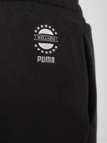 Штаны спортивные PUMA WELLNESS CLUB модель 53433001 Фото