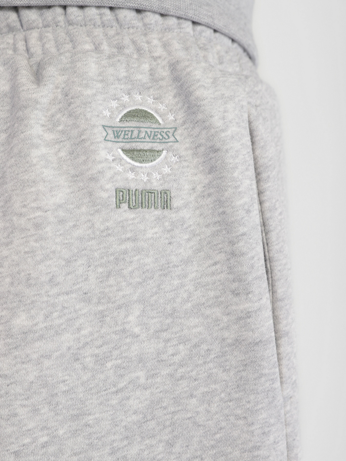 Штаны спортивные PUMA WELLNESS CLUB модель 53433004 Фото