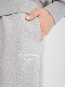 Штаны спортивные PUMA WELLNESS CLUB модель 53433004 Фото