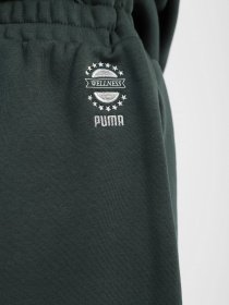 Штаны спортивные PUMA WELLNESS CLUB модель 53433080 Фото