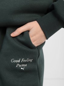 Штаны спортивные PUMA WELLNESS CLUB модель 53433080 Фото