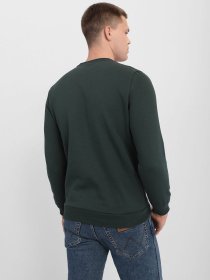 Світшот PUMA ESSENTIALS+ TWO-TONE BIG LOGO CREW модель 58676280 Фото