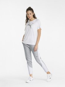 Штаны спортивные PUMA Evostripe модель 84707604 Фото