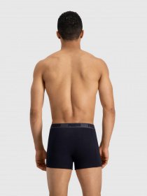 Набор трусов PUMA Basic Boxer модель 88886958 Фото