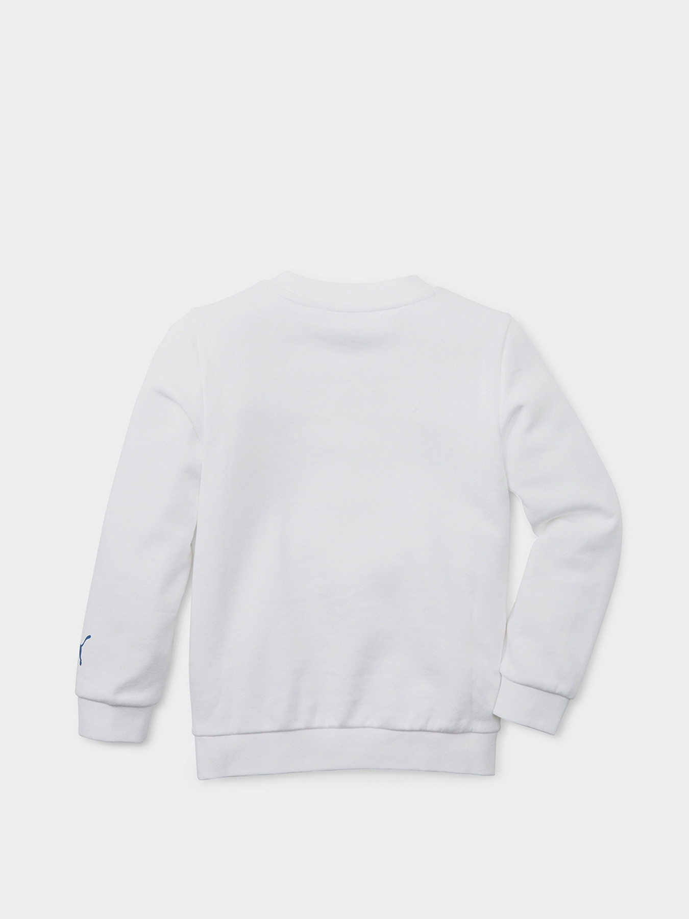 Свитшот PUMA Fruitmates модель 84731402 Фото