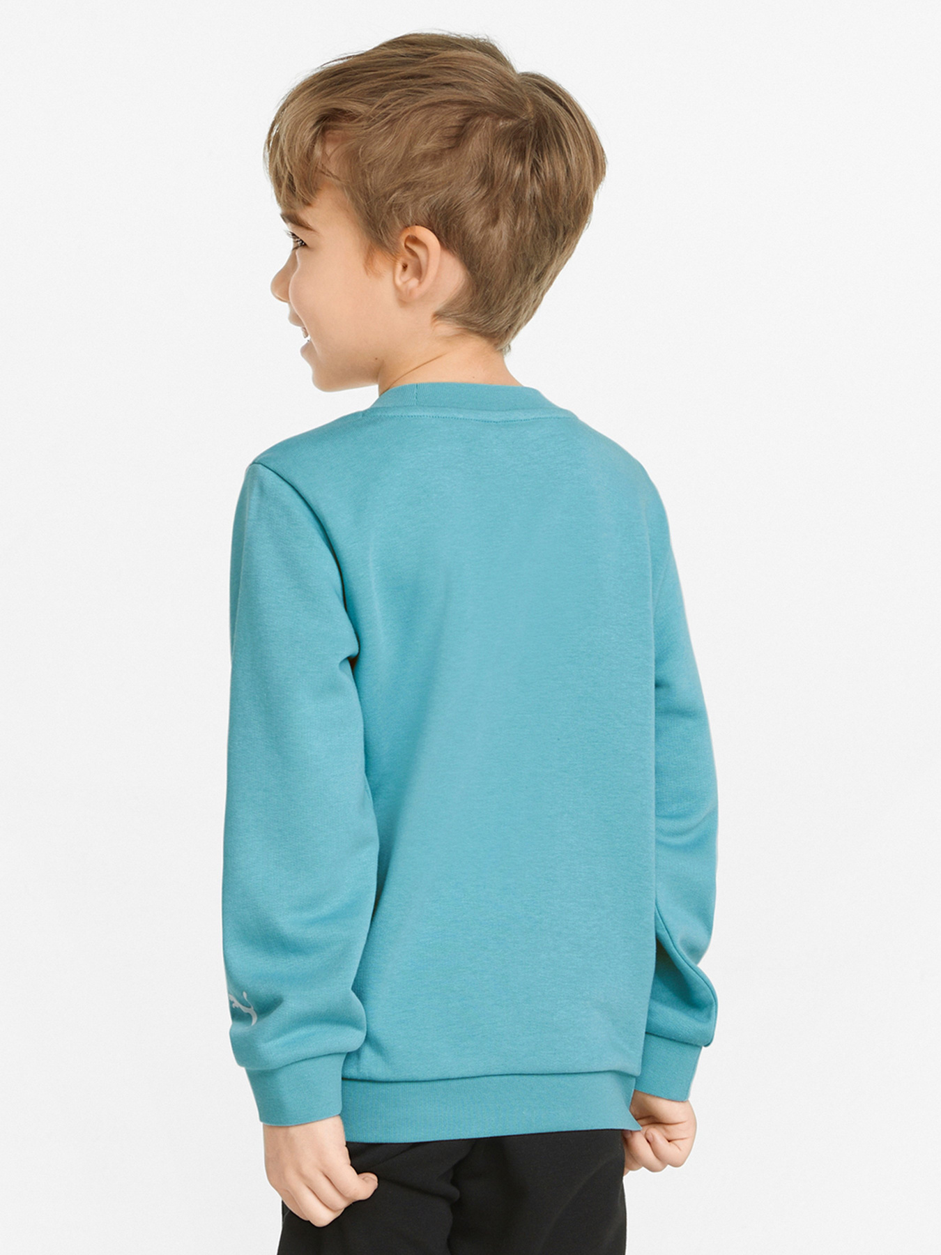 Свитшот PUMA Fruitmates модель 84731461 Фото