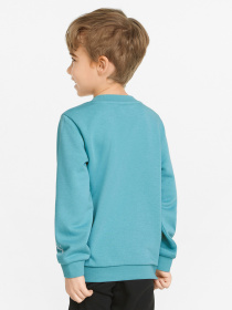 Свитшот PUMA Fruitmates модель 84731461 Фото