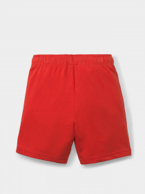 Шорты PUMA Fruitmates модель 84731511 Фото