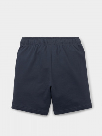 Повсякденні шорти PUMA Fruitmates модель 84731543 Фото