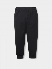 Штаны спортивные PUMA Fruitmates модель 84731701 Фото