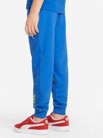 Штаны спортивные PUMA Fruitmates модель 84731767 Фото