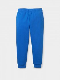 Штаны спортивные PUMA Fruitmates модель 84731767 Фото