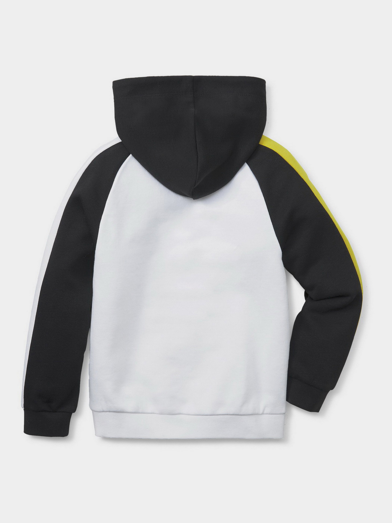 Худи PUMA FRUITMATES модель 53390502 Фото