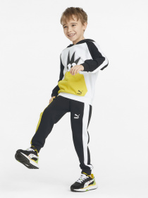 Худи PUMA FRUITMATES модель 53390502 Фото