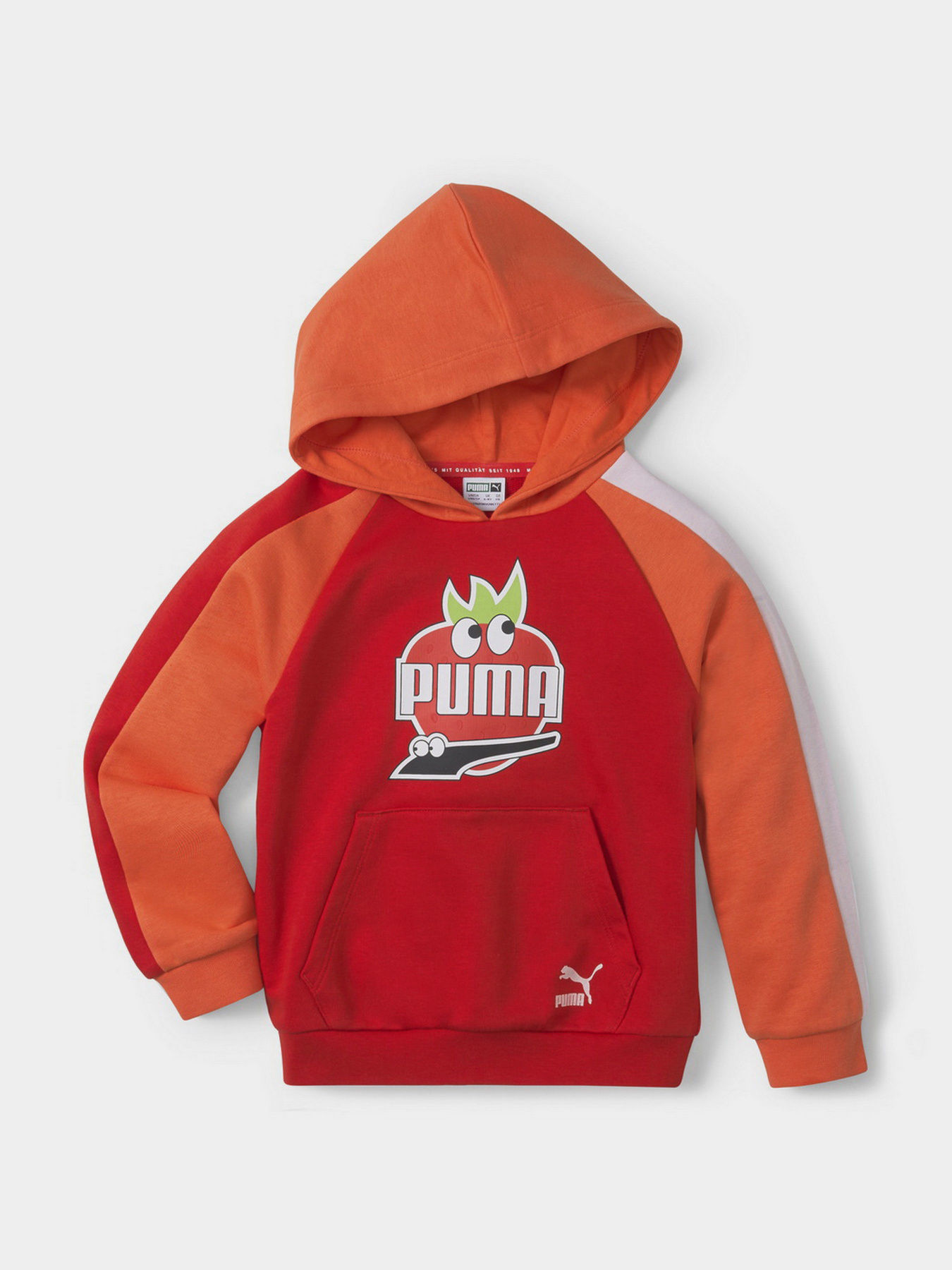 Худи PUMA FRUITMATES модель 53390526 Фото
