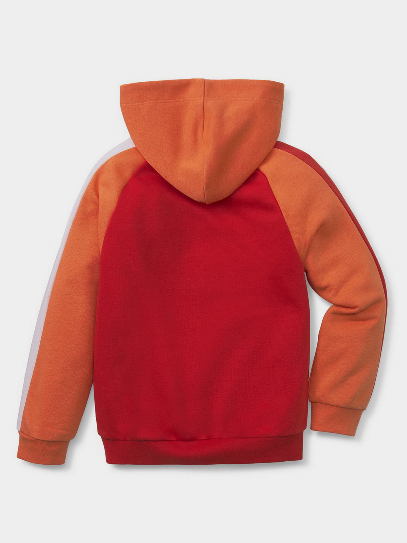 Худи PUMA FRUITMATES модель 53390526 Фото