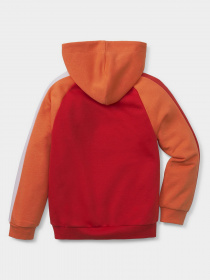 Худи PUMA FRUITMATES модель 53390526 Фото