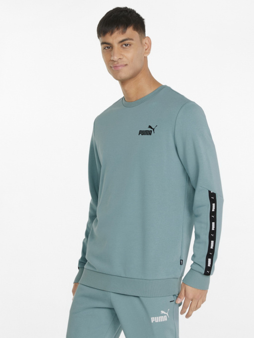 Худі та світшоти PUMA Essentials+ модель 84738450 Фото
