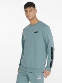 Худі та світшоти PUMA Essentials+ модель 84738450 Фото