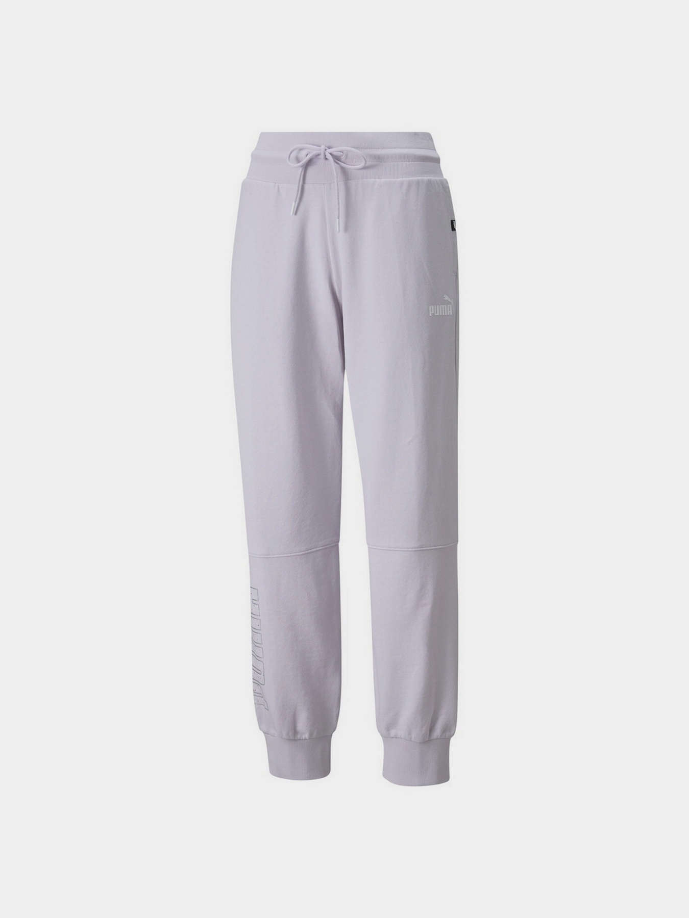 Штаны спортивные PUMA Power Colour-Blocked модель 84883073 Фото