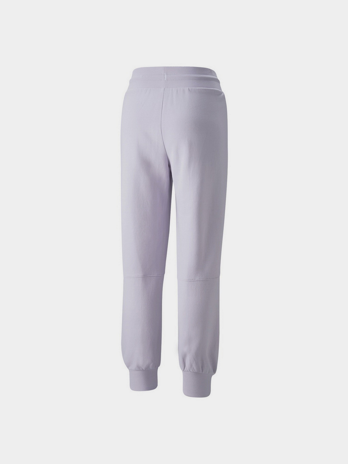 Штаны спортивные PUMA Power Colour-Blocked модель 84883073 Фото