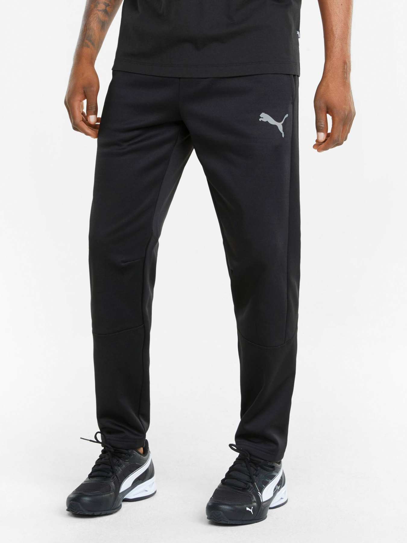 Штаны спортивные PUMA Evostripe Warm Pants модель 58944201 Фото