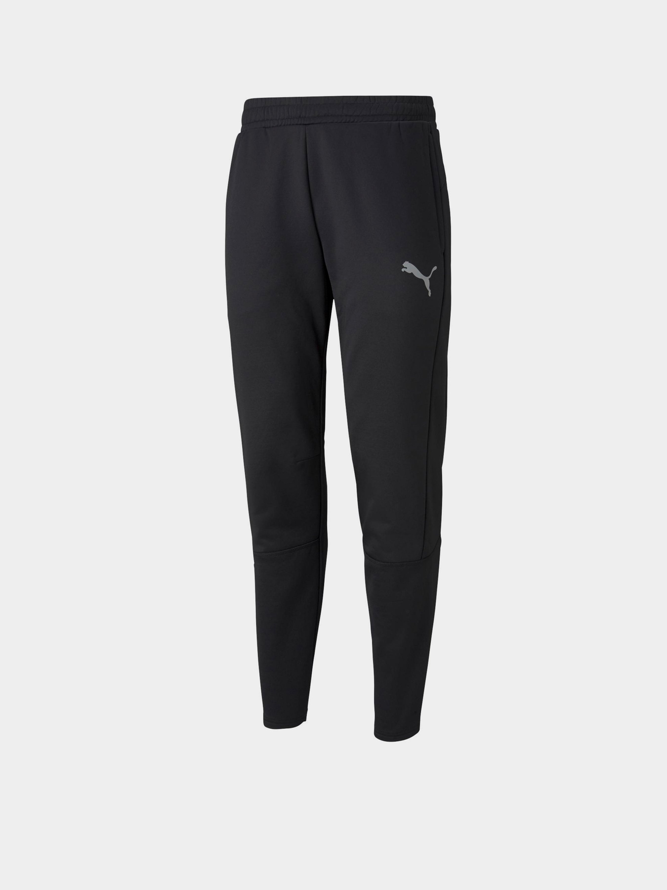 Штаны спортивные PUMA Evostripe Warm Pants модель 58944201 Фото