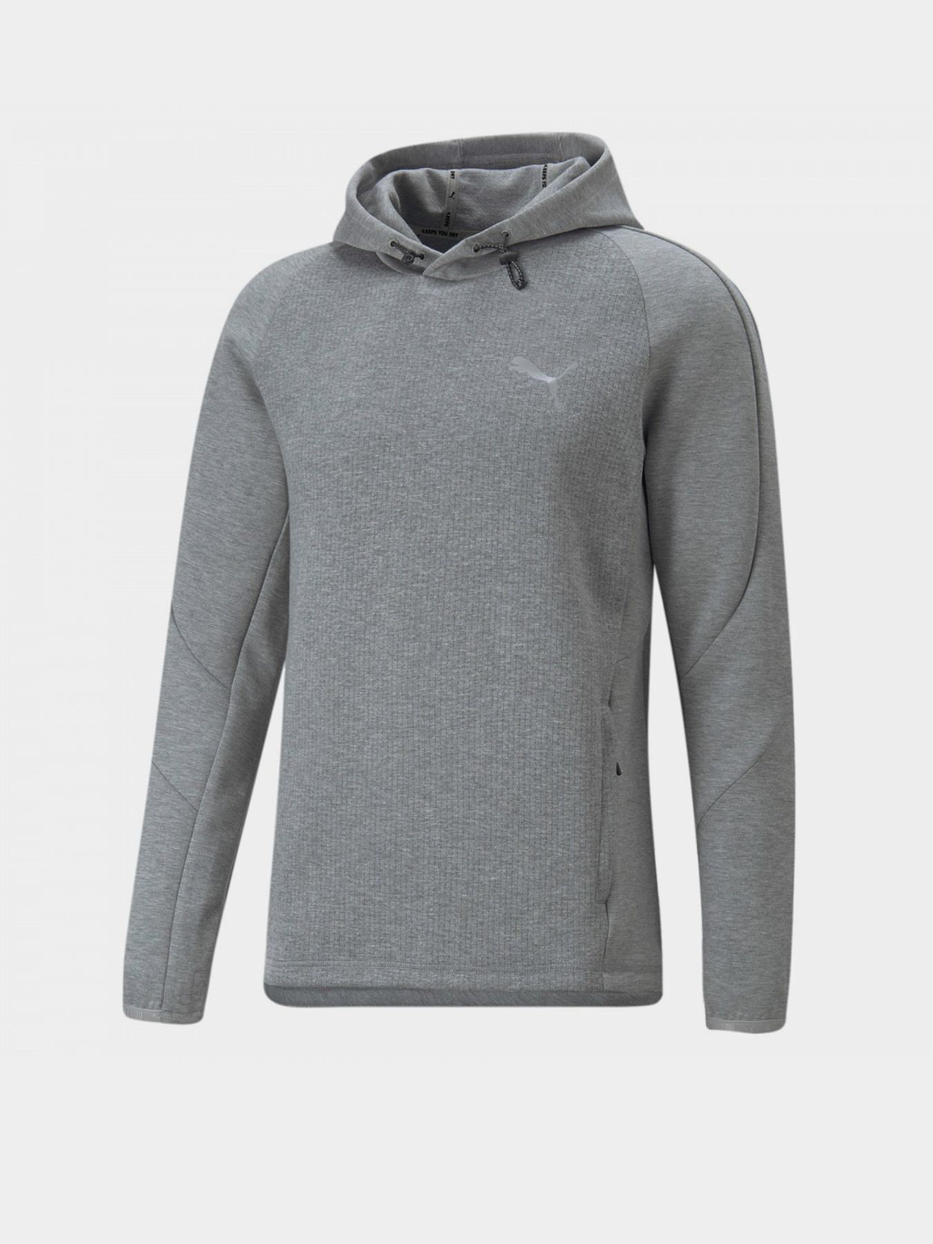 Худи PUMA EVOSTRIPE модель 84991403 Фото