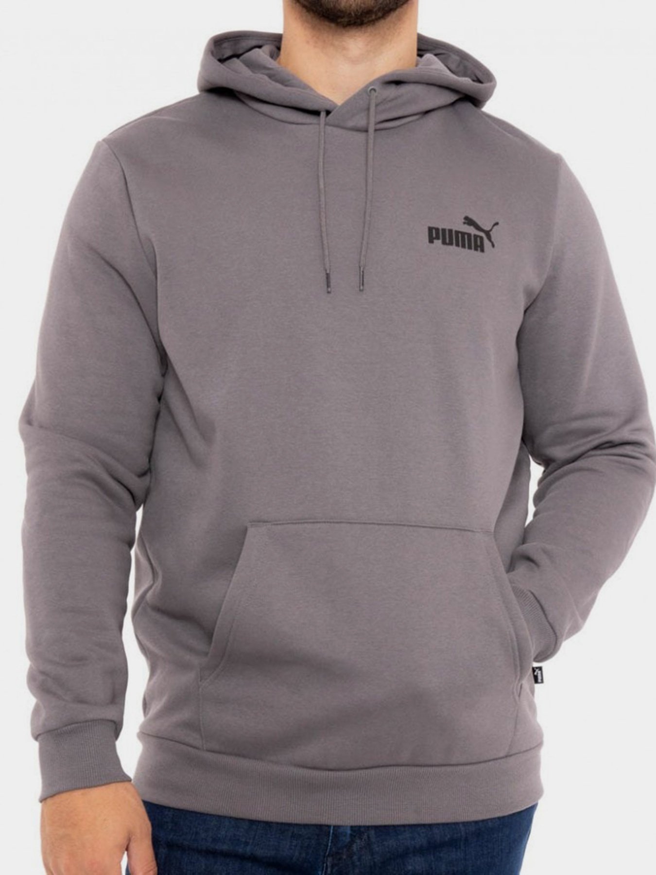 Худи PUMA ESSENTIALS SMALL LOGO модель 58669115 Фото